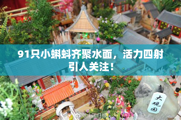 91只小蝌蚪齐聚水面，活力四射引人关注！