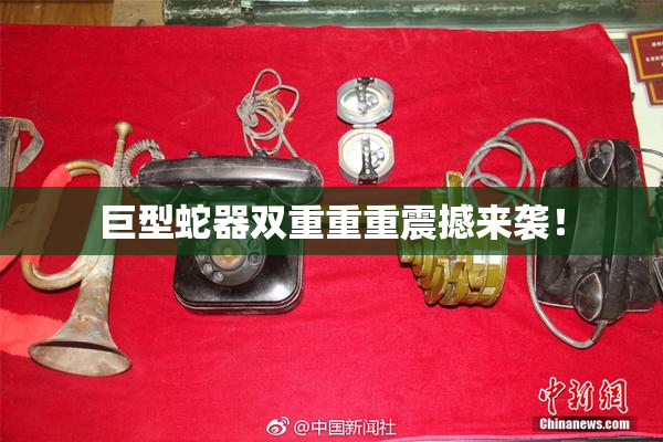 巨型蛇器双重重重震撼来袭！