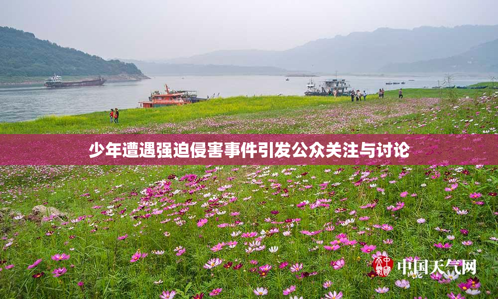 少年遭遇强迫侵害事件引发公众关注与讨论