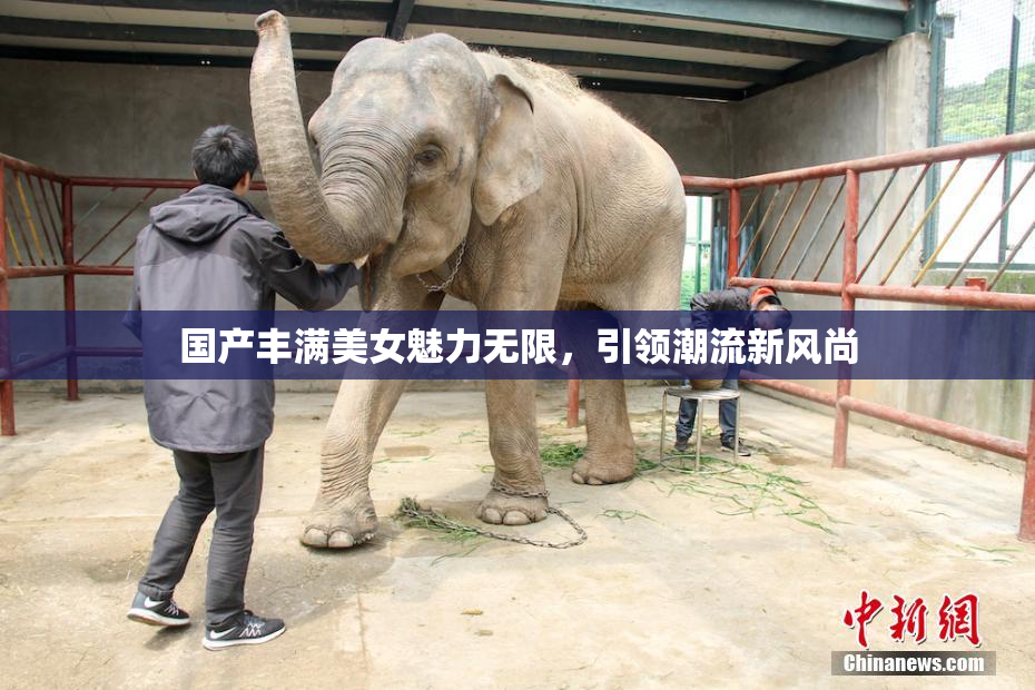 国产丰满美女魅力无限，引领潮流新风尚
