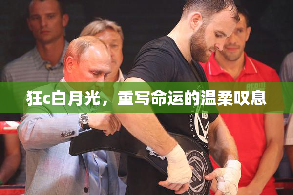 狂c白月光，重写命运的温柔叹息