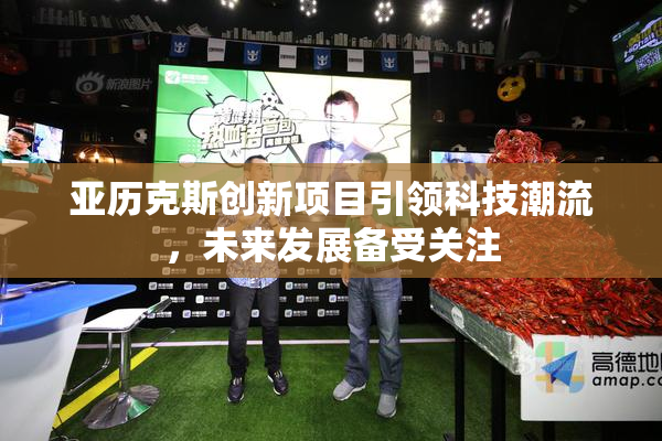 亚历克斯创新项目引领科技潮流，未来发展备受关注