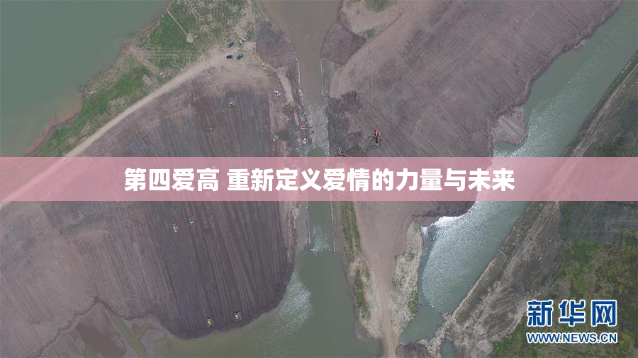 第四爱高 重新定义爱情的力量与未来