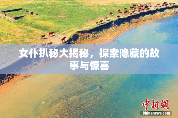 女仆扒秘大揭秘，探索隐藏的故事与惊喜