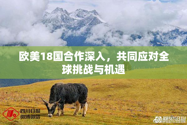 欧美18国合作深入，共同应对全球挑战与机遇