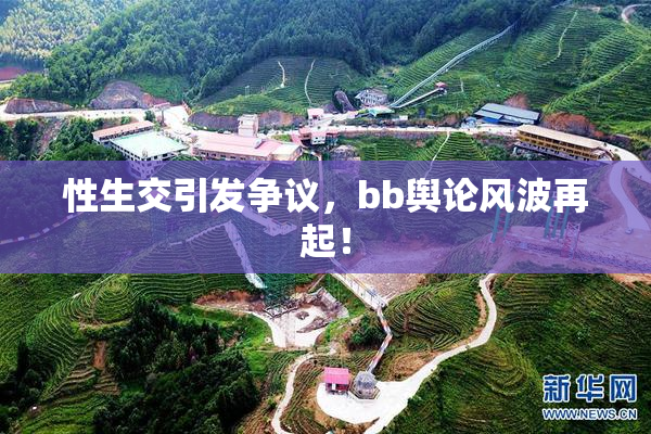 性生交引发争议，bb舆论风波再起！