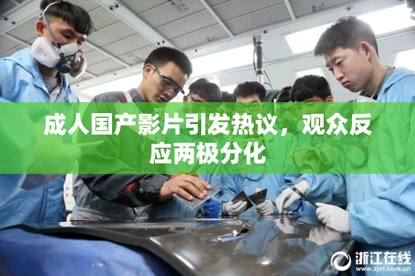 成人国产影片引发热议，观众反应两极分化