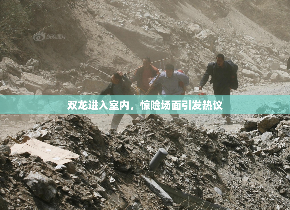 双龙进入室内，惊险场面引发热议
