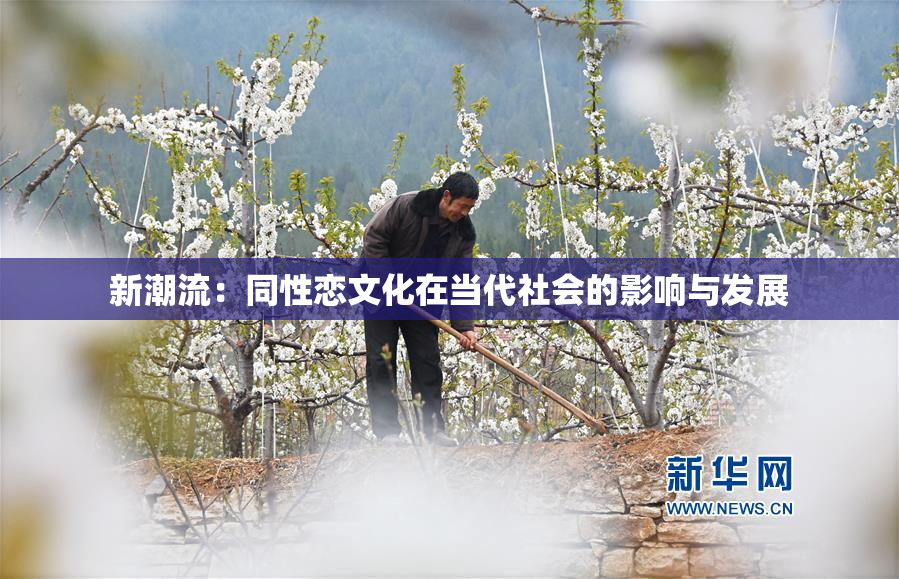 新潮流：同性恋文化在当代社会的影响与发展