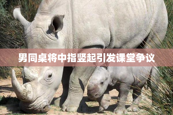 男同桌将中指竖起引发课堂争议