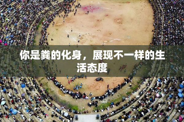 你是粪的化身，展现不一样的生活态度