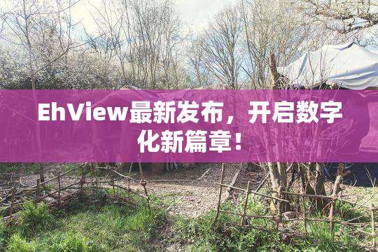 EhView最新发布，开启数字化新篇章！