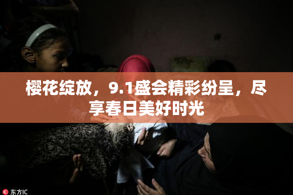 樱花绽放，9.1盛会精彩纷呈，尽享春日美好时光