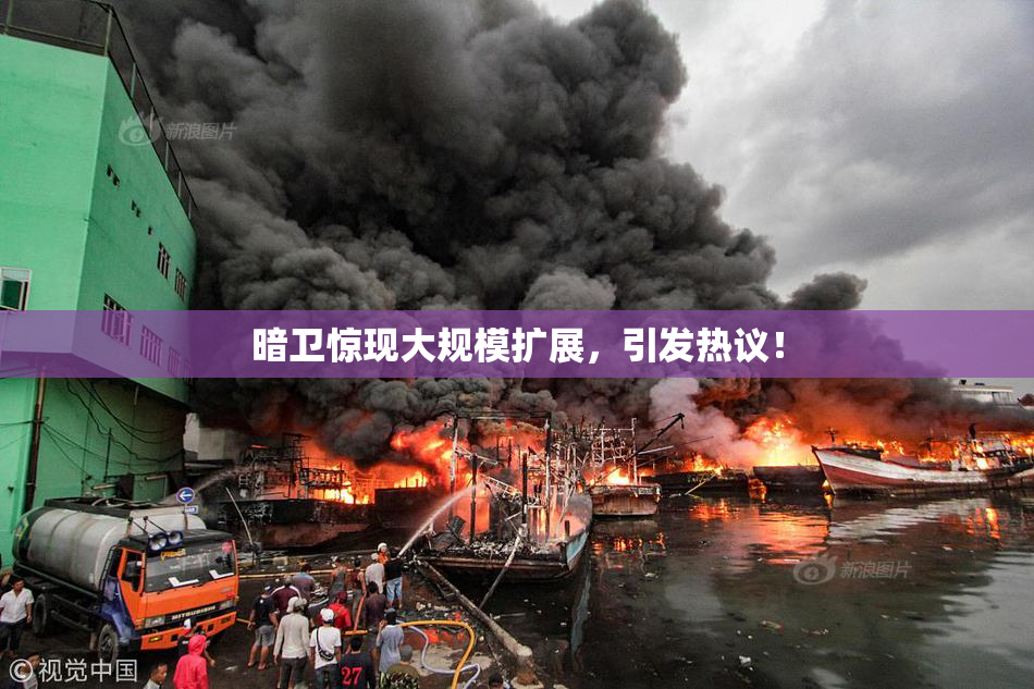 暗卫惊现大规模扩展，引发热议！