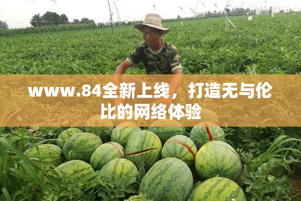 www.84全新上线，打造无与伦比的网络体验
