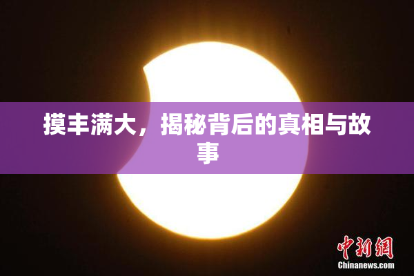 摸丰满大，揭秘背后的真相与故事