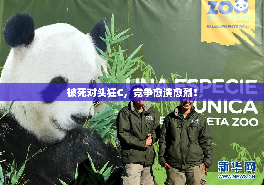 被死对头狂C，竞争愈演愈烈！