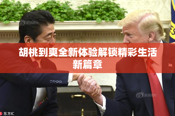 胡桃到爽全新体验解锁精彩生活新篇章