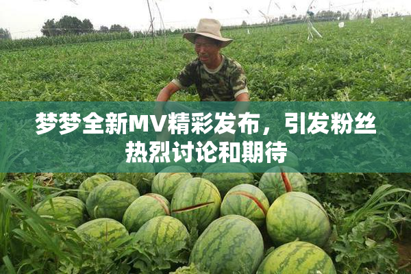 梦梦全新MV精彩发布，引发粉丝热烈讨论和期待