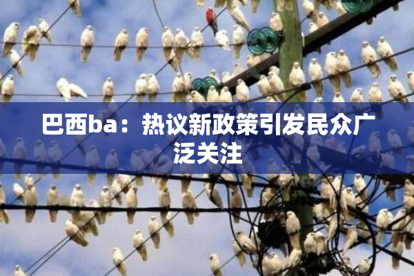 巴西ba：热议新政策引发民众广泛关注