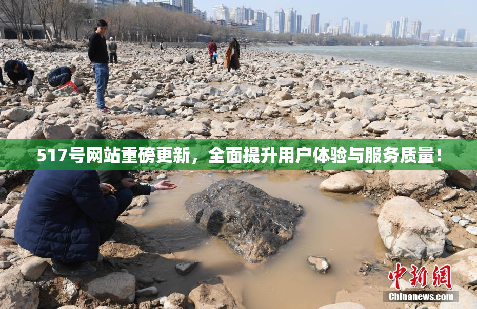 517号网站重磅更新，全面提升用户体验与服务质量！