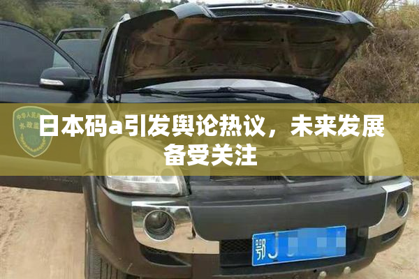日本码a引发舆论热议，未来发展备受关注