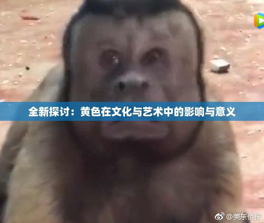 全新探讨：黄色在文化与艺术中的影响与意义