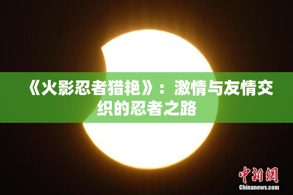 《火影忍者猎艳》：激情与友情交织的忍者之路
