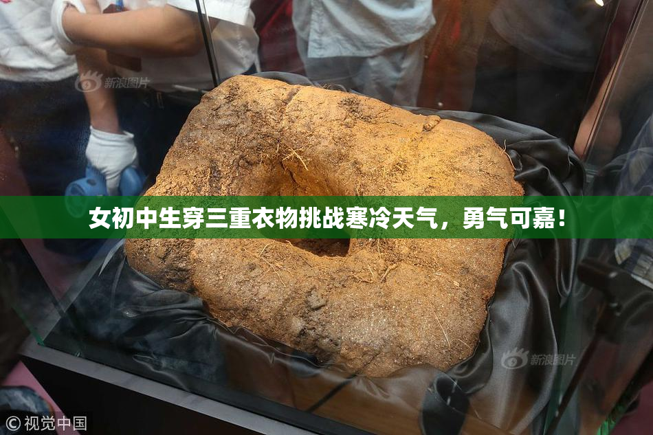女初中生穿三重衣物挑战寒冷天气，勇气可嘉！