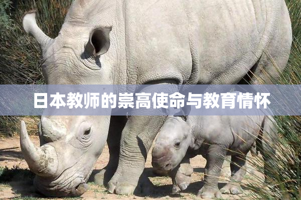 日本教师的崇高使命与教育情怀