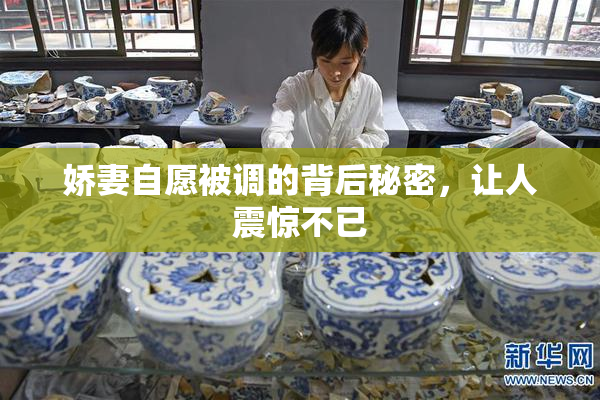娇妻自愿被调的背后秘密，让人震惊不已