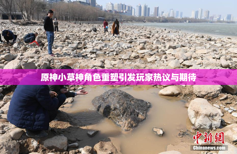 原神小草神角色重塑引发玩家热议与期待