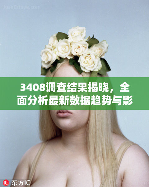 3408调查结果揭晓，全面分析最新数据趋势与影响因素