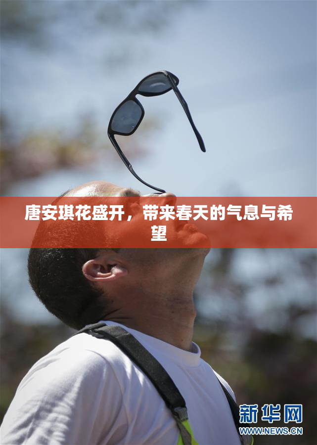 唐安琪花盛开，带来春天的气息与希望