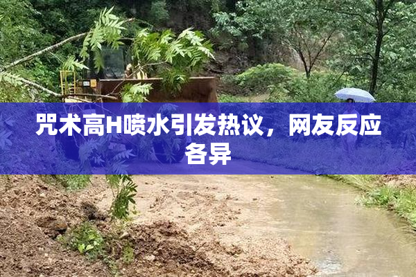 咒术高H喷水引发热议，网友反应各异