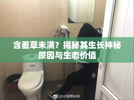 含羞草未满？揭秘其生长神秘原因与生态价值