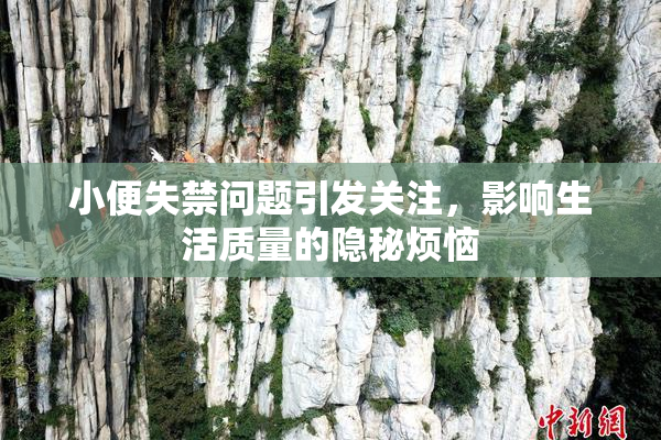 小便失禁问题引发关注，影响生活质量的隐秘烦恼