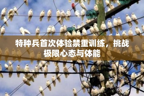 特种兵首次体验禁重训练，挑战极限心态与体能