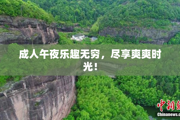 成人午夜乐趣无穷，尽享爽爽时光！