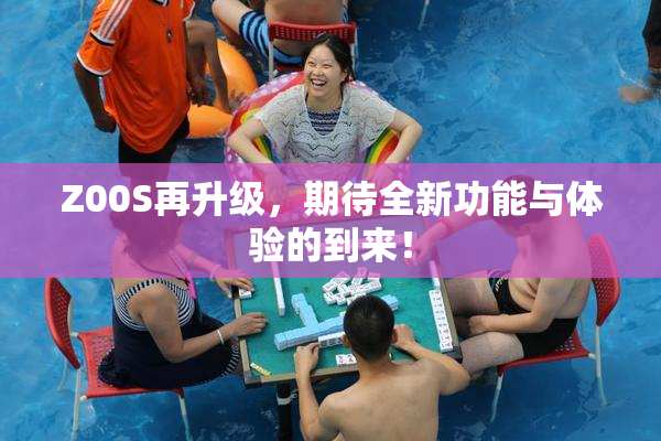 Z00S再升级，期待全新功能与体验的到来！
