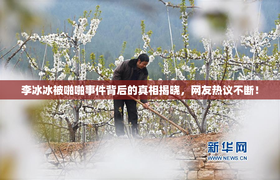 李冰冰被啪啪事件背后的真相揭晓，网友热议不断！