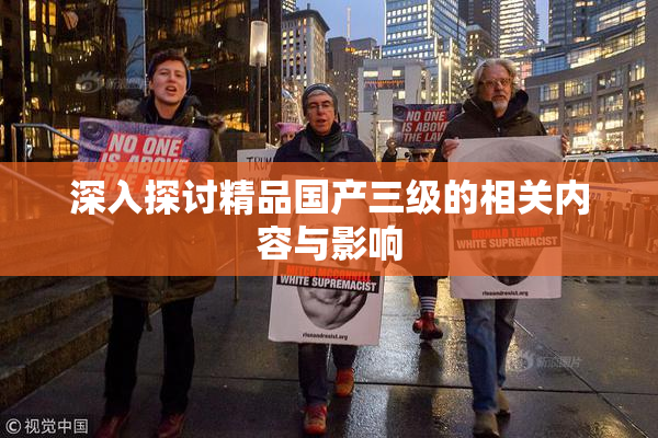 深入探讨精品国产三级的相关内容与影响