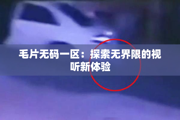 毛片无码一区：探索无界限的视听新体验