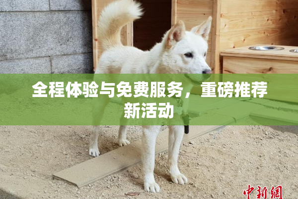 全程体验与免费服务，重磅推荐新活动