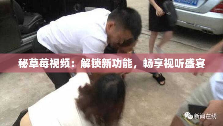 秘草莓视频：解锁新功能，畅享视听盛宴