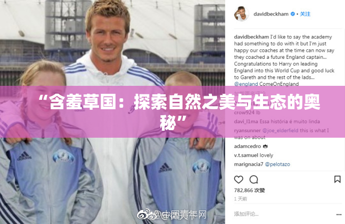 “含羞草国：探索自然之美与生态的奥秘”