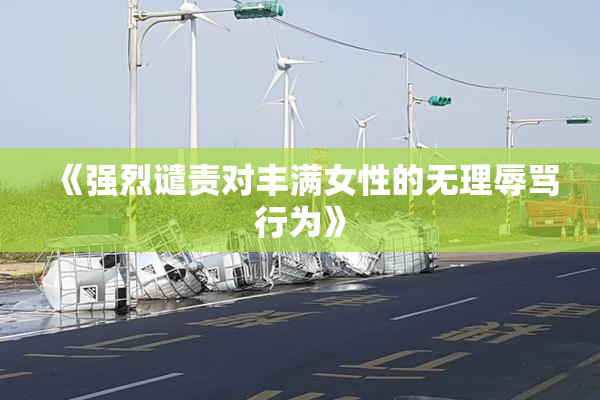 《强烈谴责对丰满女性的无理辱骂行为》