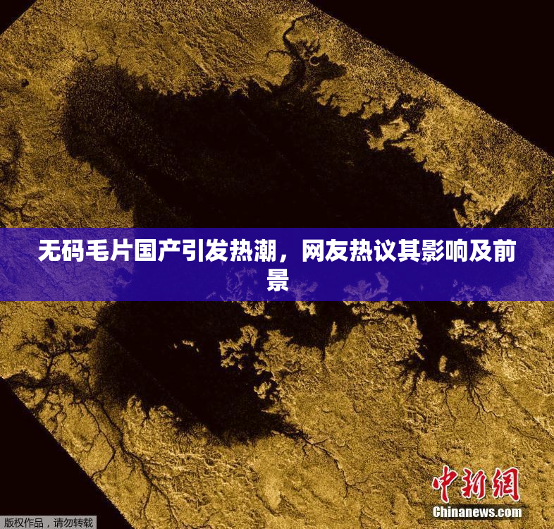无码毛片国产引发热潮，网友热议其影响及前景