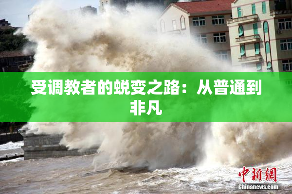 受调教者的蜕变之路：从普通到非凡