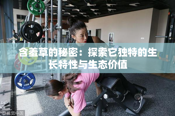 含羞草的秘密：探索它独特的生长特性与生态价值